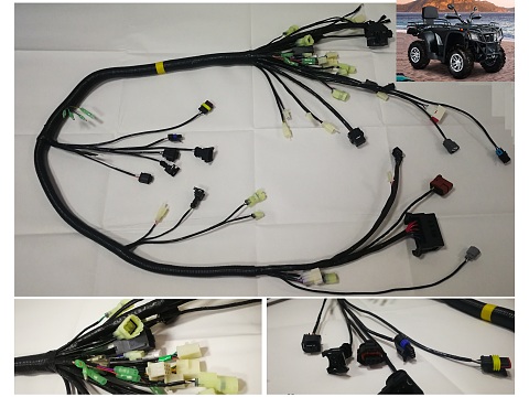 Car chassis wire harness from China